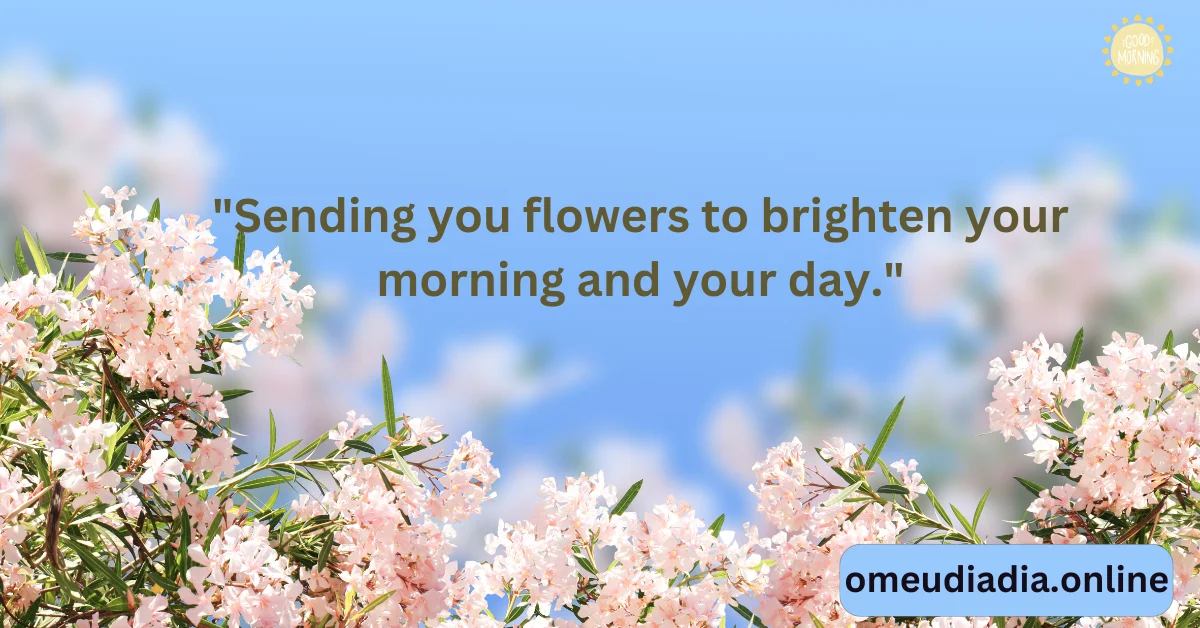 frases de bom dia com flores