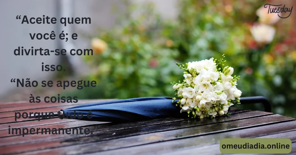 frases de bom dia terca feira